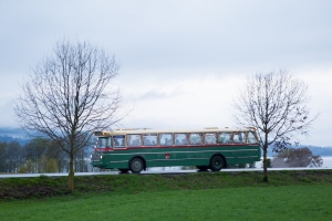 Grønn og hvit veteranbuss